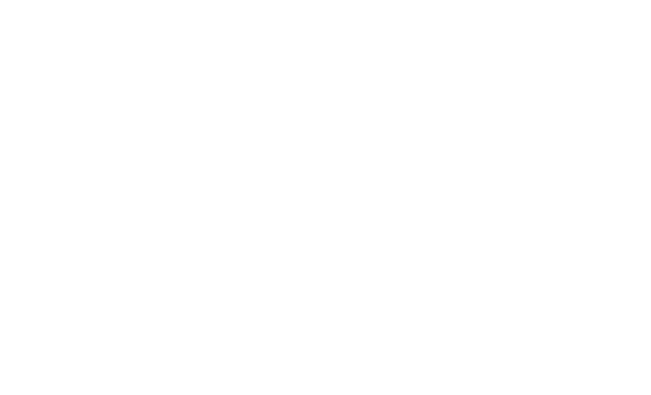 ruckenwerkstatt-logo-footer-neg